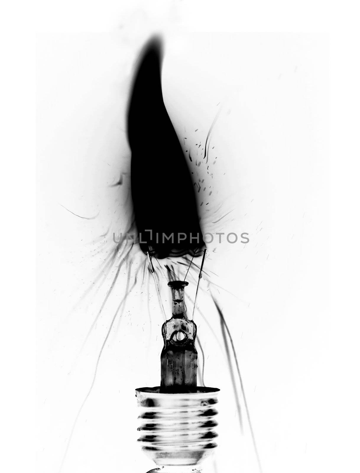 bulb by Mibuch