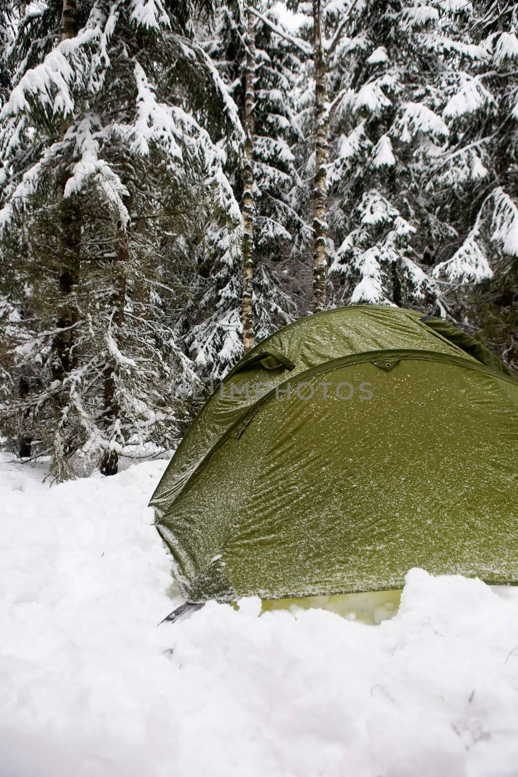 Tent in Snow by leaf