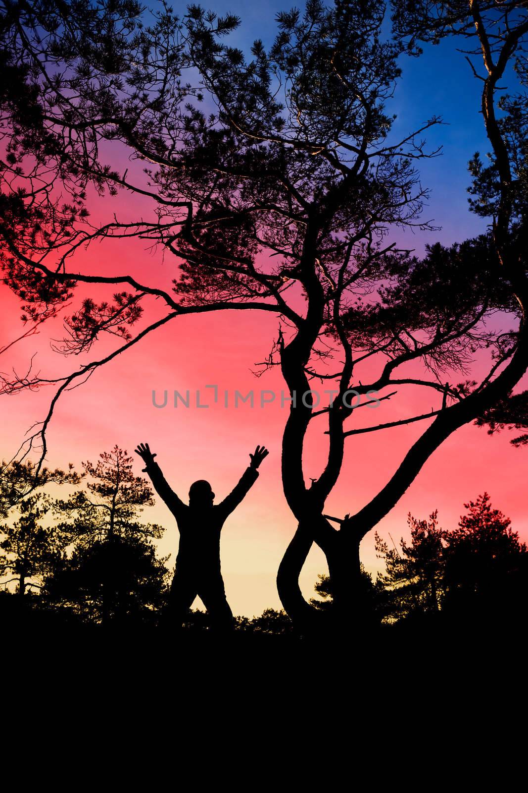 A person standing in the forest against the skyline celebrating