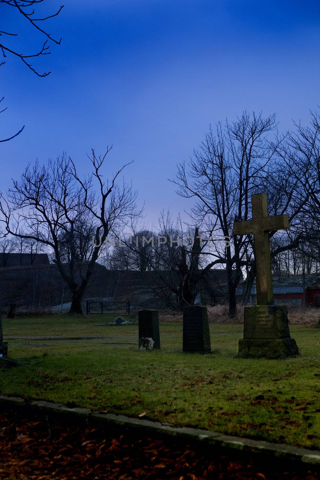 A spooky graveyard with a deep blue sky