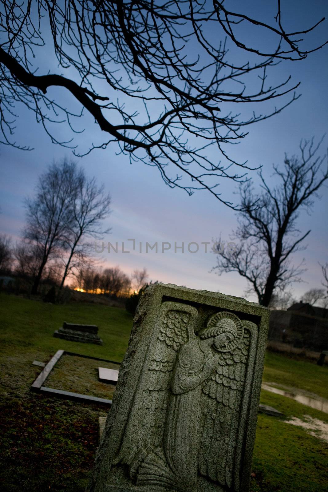 Angel Tombstone by leaf