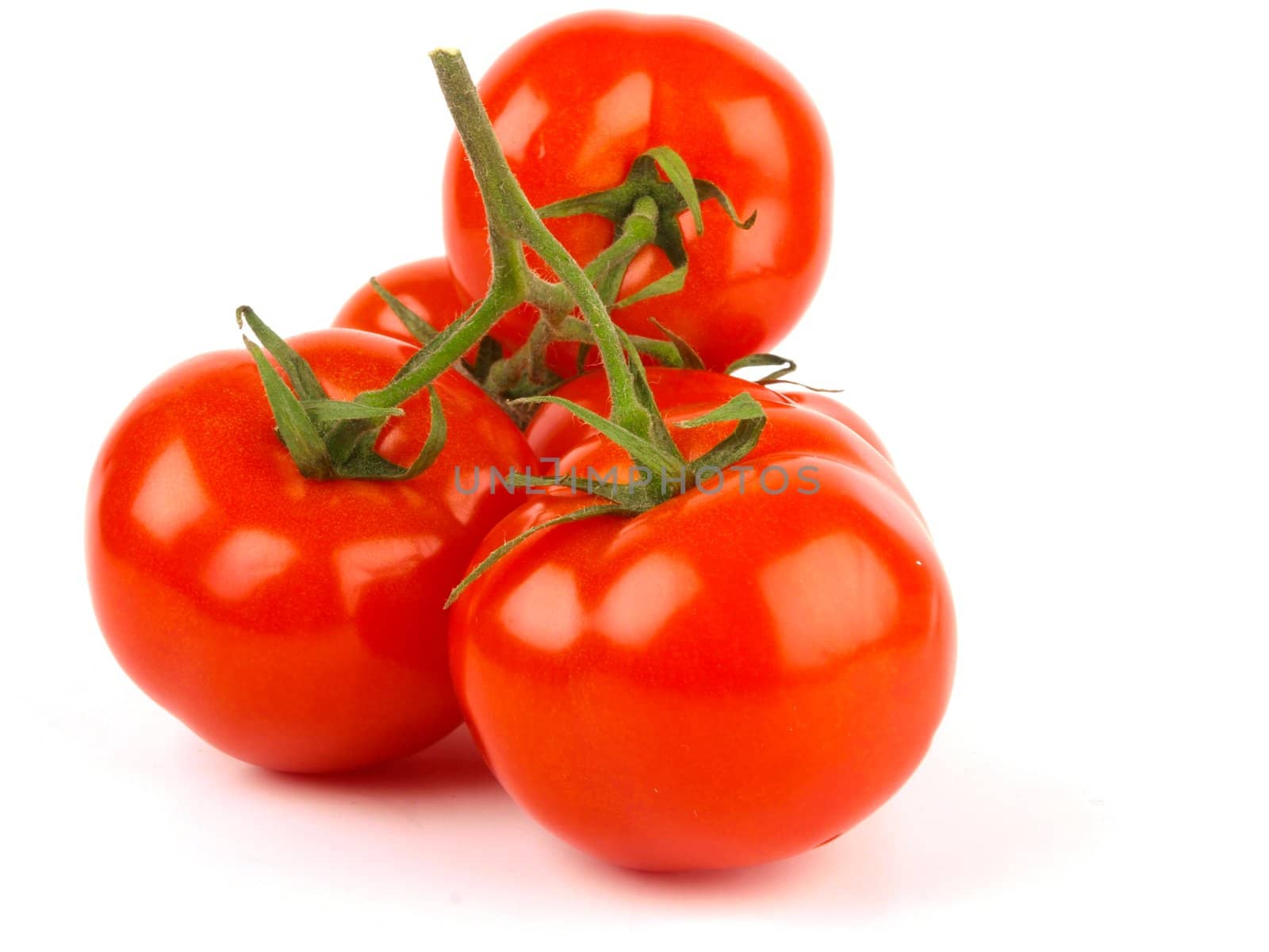 Fresh tomatoes by dotweb