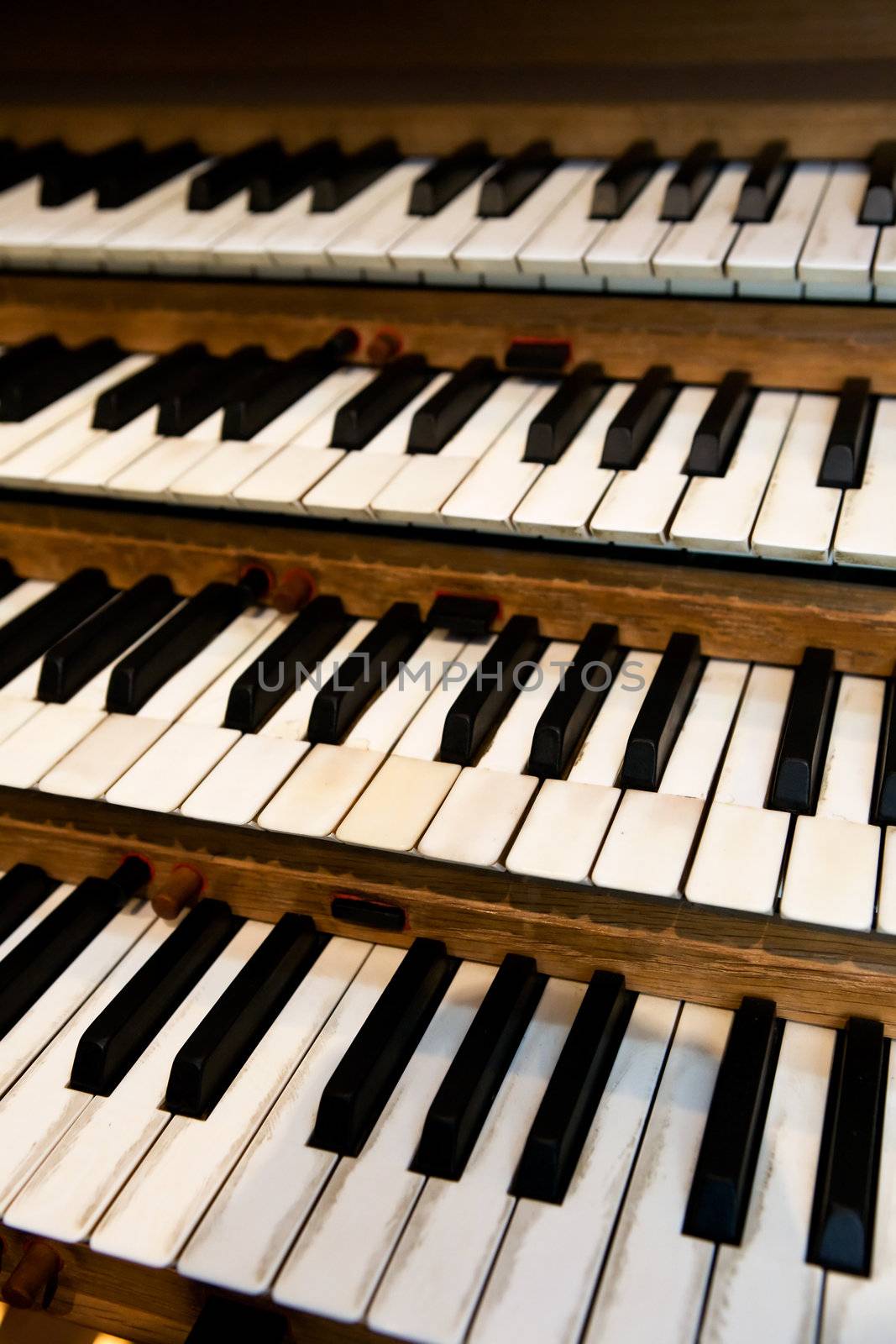 Pipe Organ Keyboard by leaf