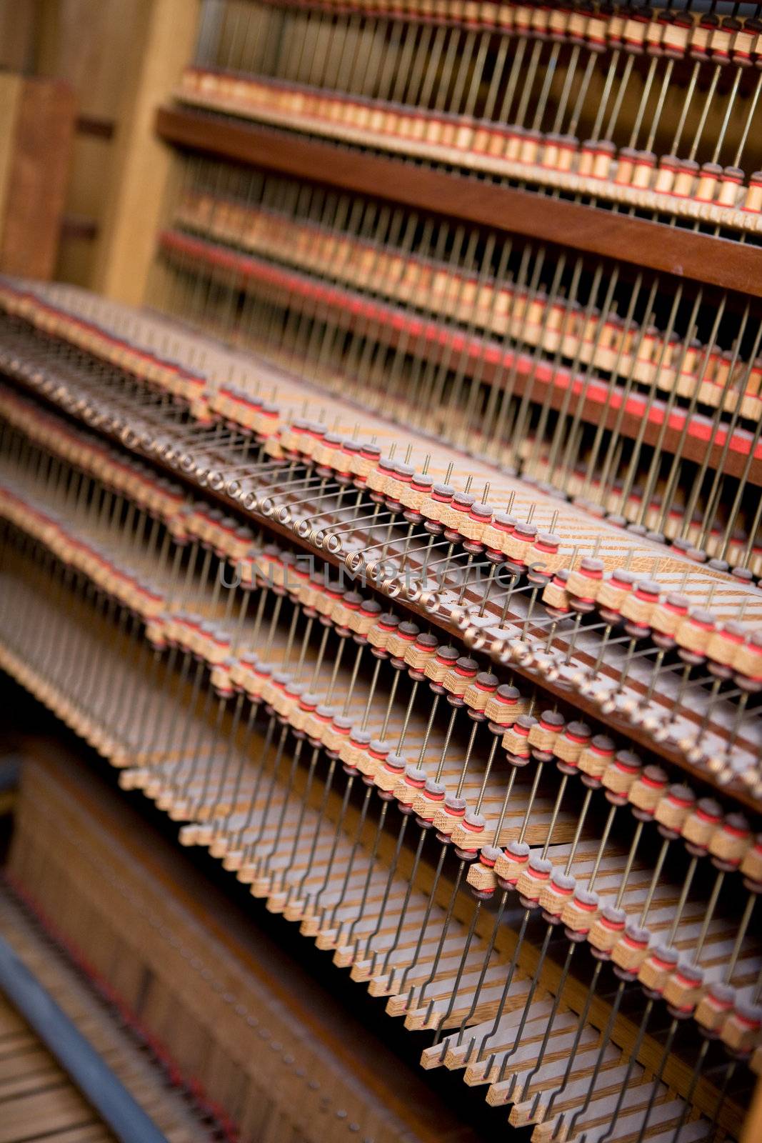 Interior of an old wooden pipe organ