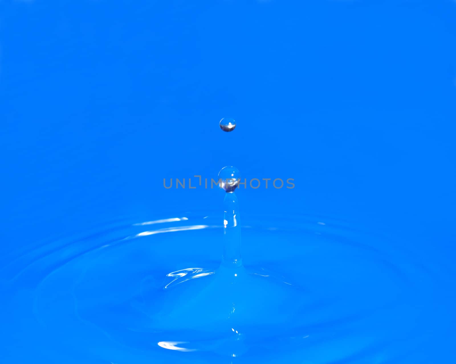 A waterdrop has been photographed on it's upward return.