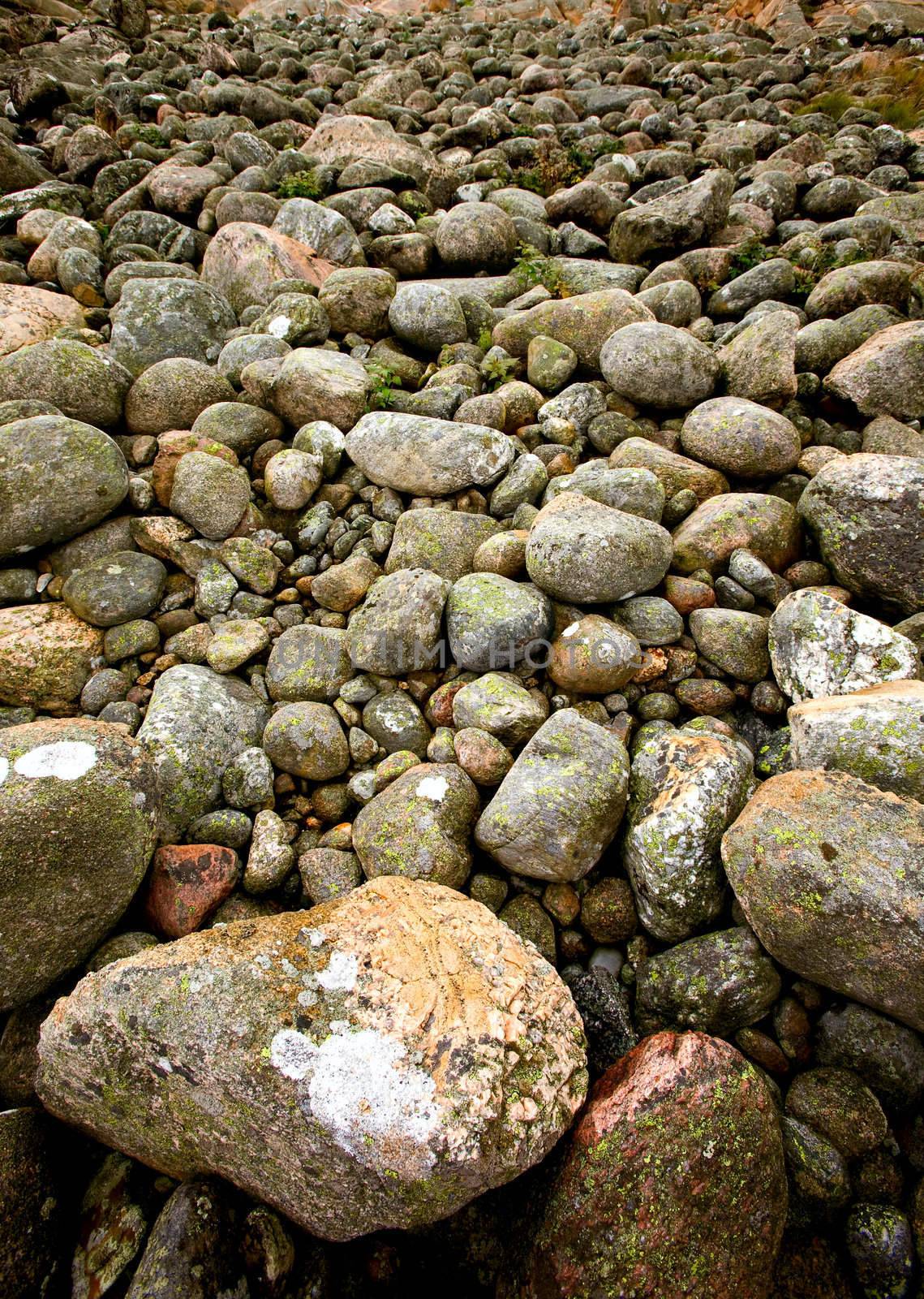 Rock Texture by leaf