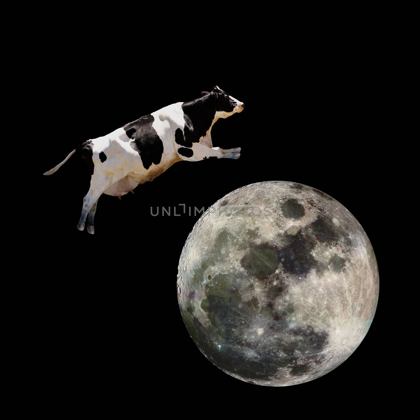 A cow jumping over the moon