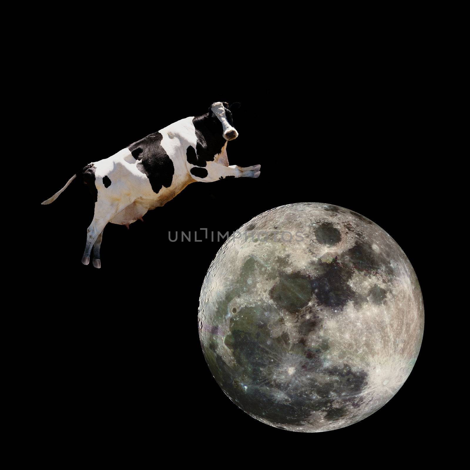 Cow Jumping over Moon by leaf