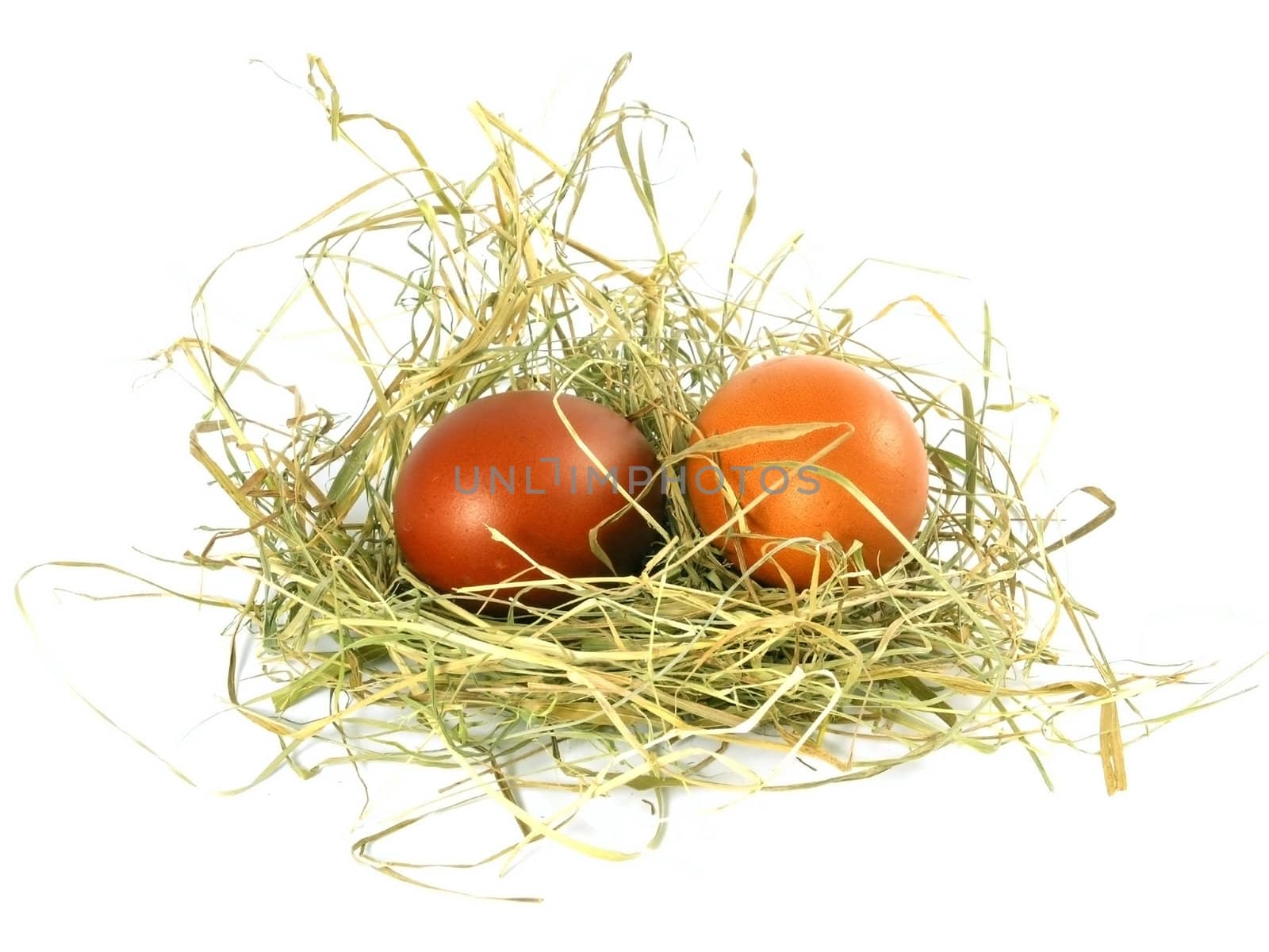 two eggs  in nest isolated on white background