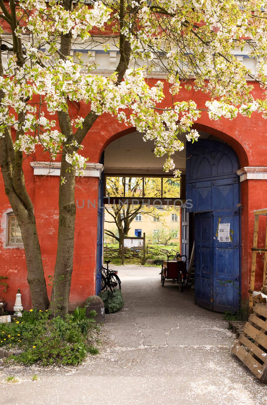 A door in Christiania - an area of Copenhagen, Denmark