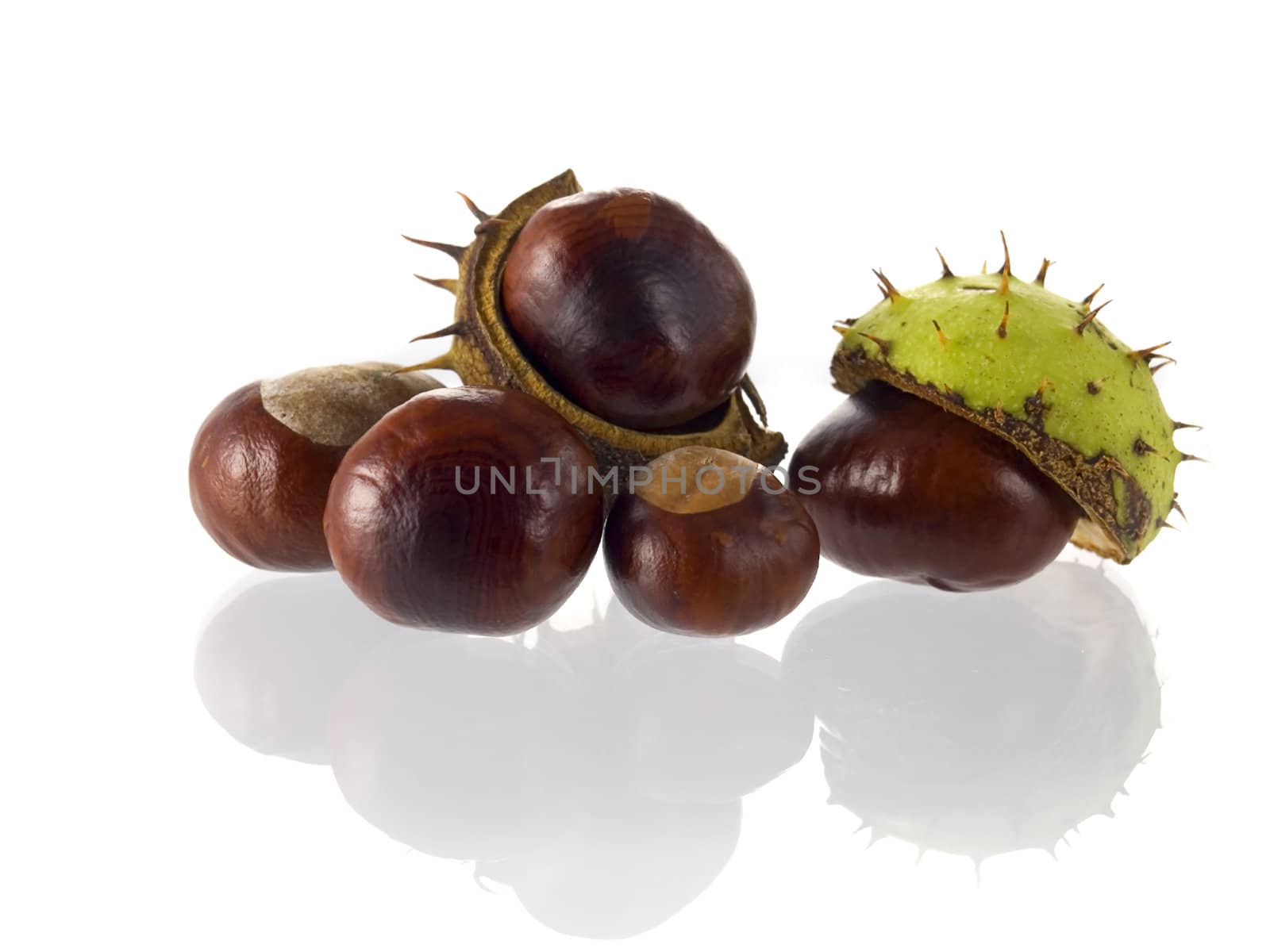 close-up of Chestnuts isolated on a white background