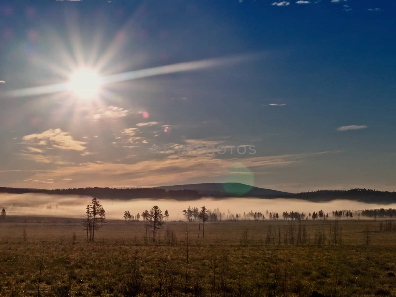Early morning shot of wilderness landscape with visible sun beams