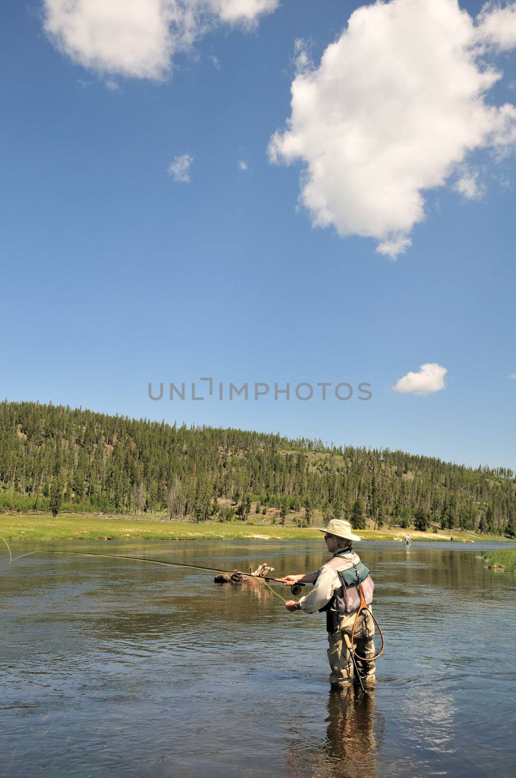 Active senior woman casting a fly-fishing rod for trout in the Firehole River in Yellowstone Park.
