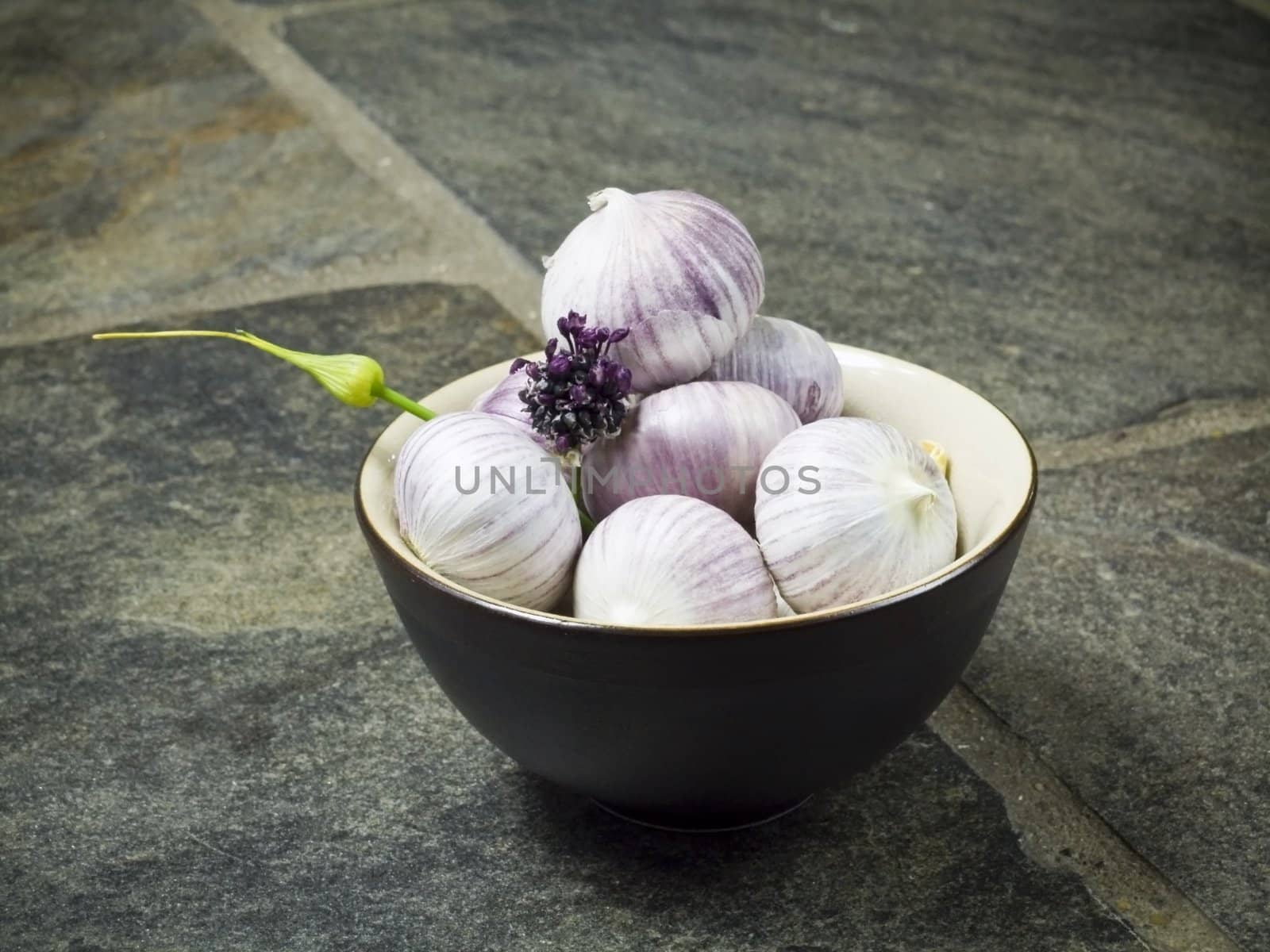 bowl full of fresh garlic on dark background