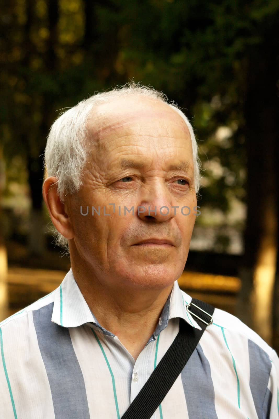 Portrait of the elderly man in a striped shirt against the nature