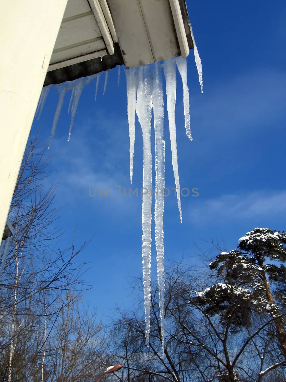 Transparent icicles on a background of blue sky