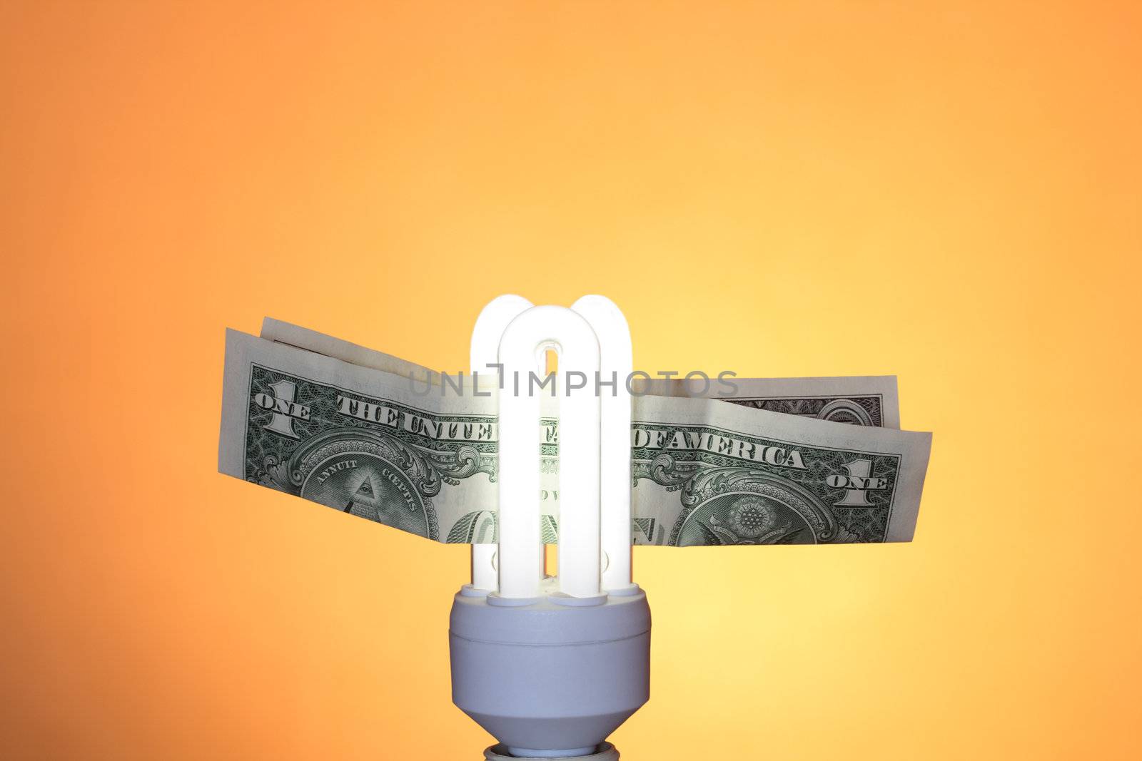 Modern Light Bulb And Money by kvkirillov