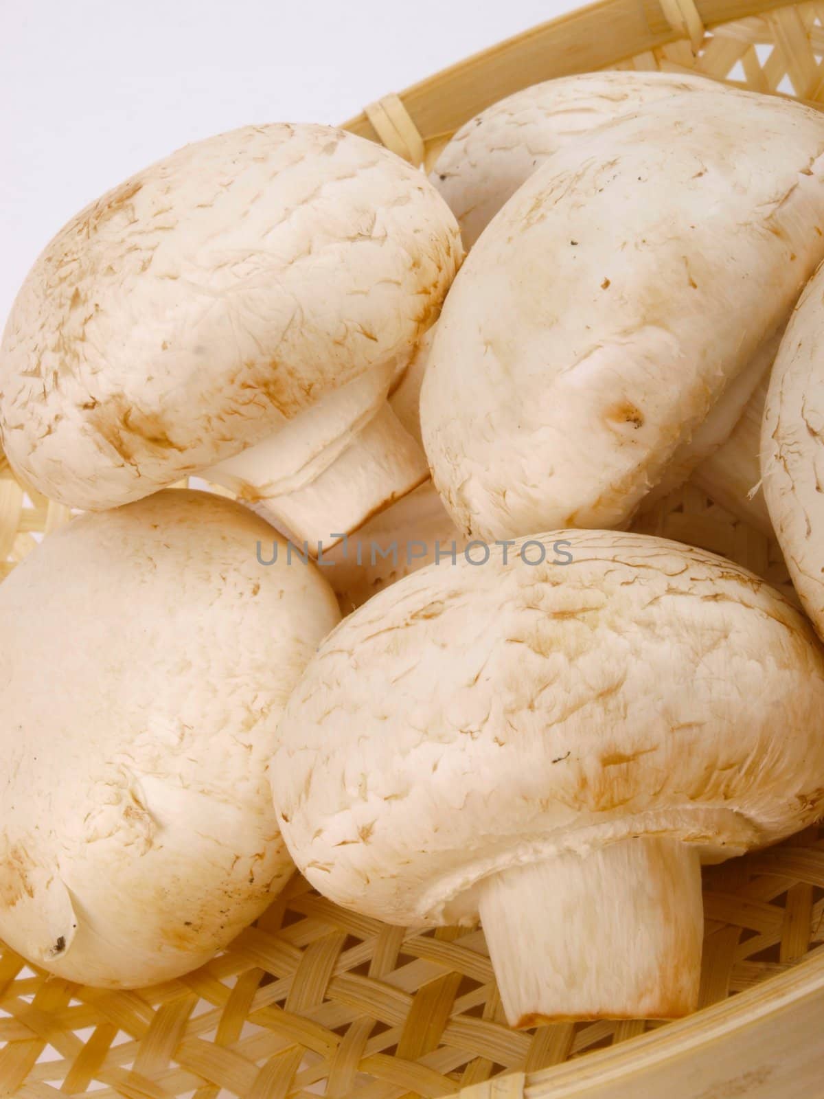 Fresh Mushroom in a basket