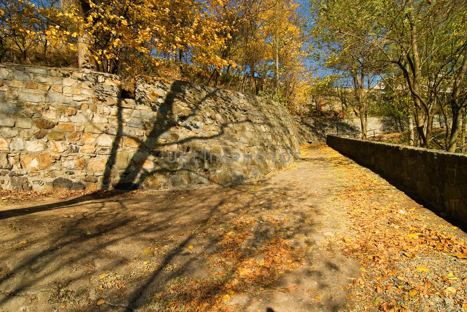 A romatic stone walkway in the autumn