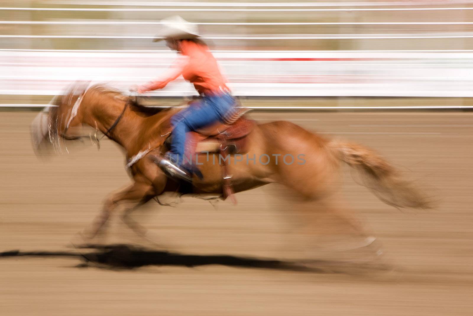 Galloping Horse with Cowgirl by leaf