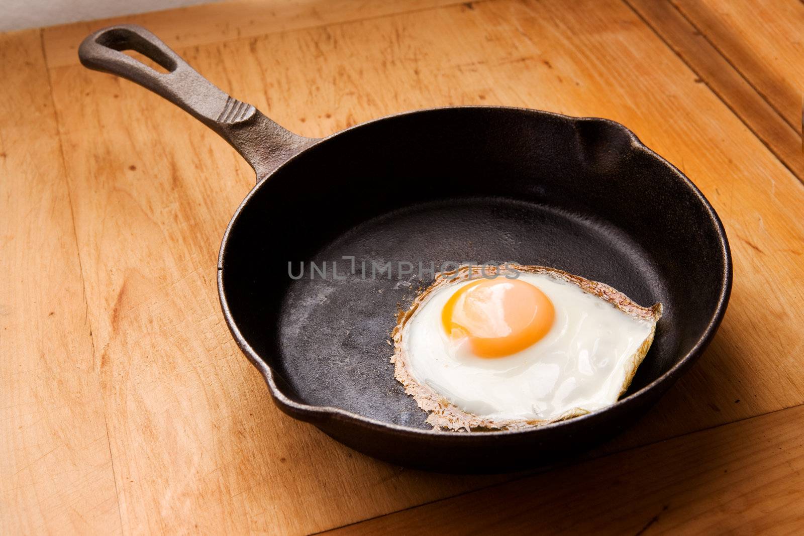 A sunny side up egg in natural soft lighting.