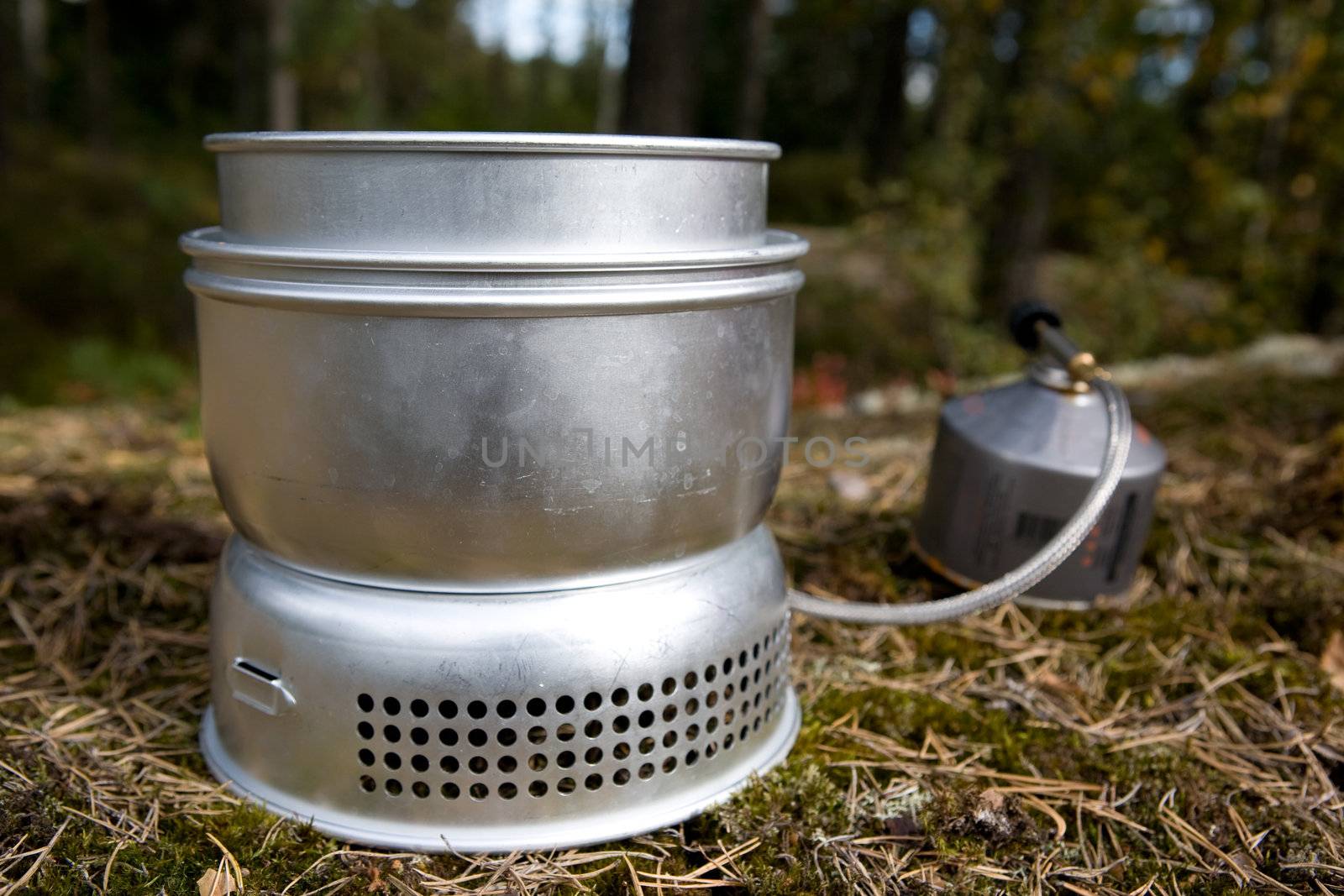 A camp stove cooking water in the forest with pressurized gas