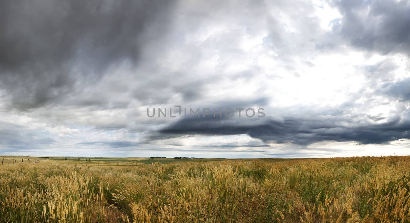 Dramatic Prairie Landscape by leaf