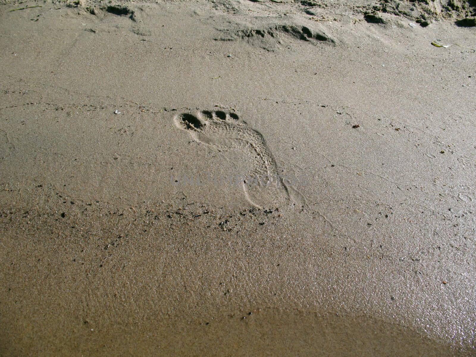 Human footprint on river sand beach.