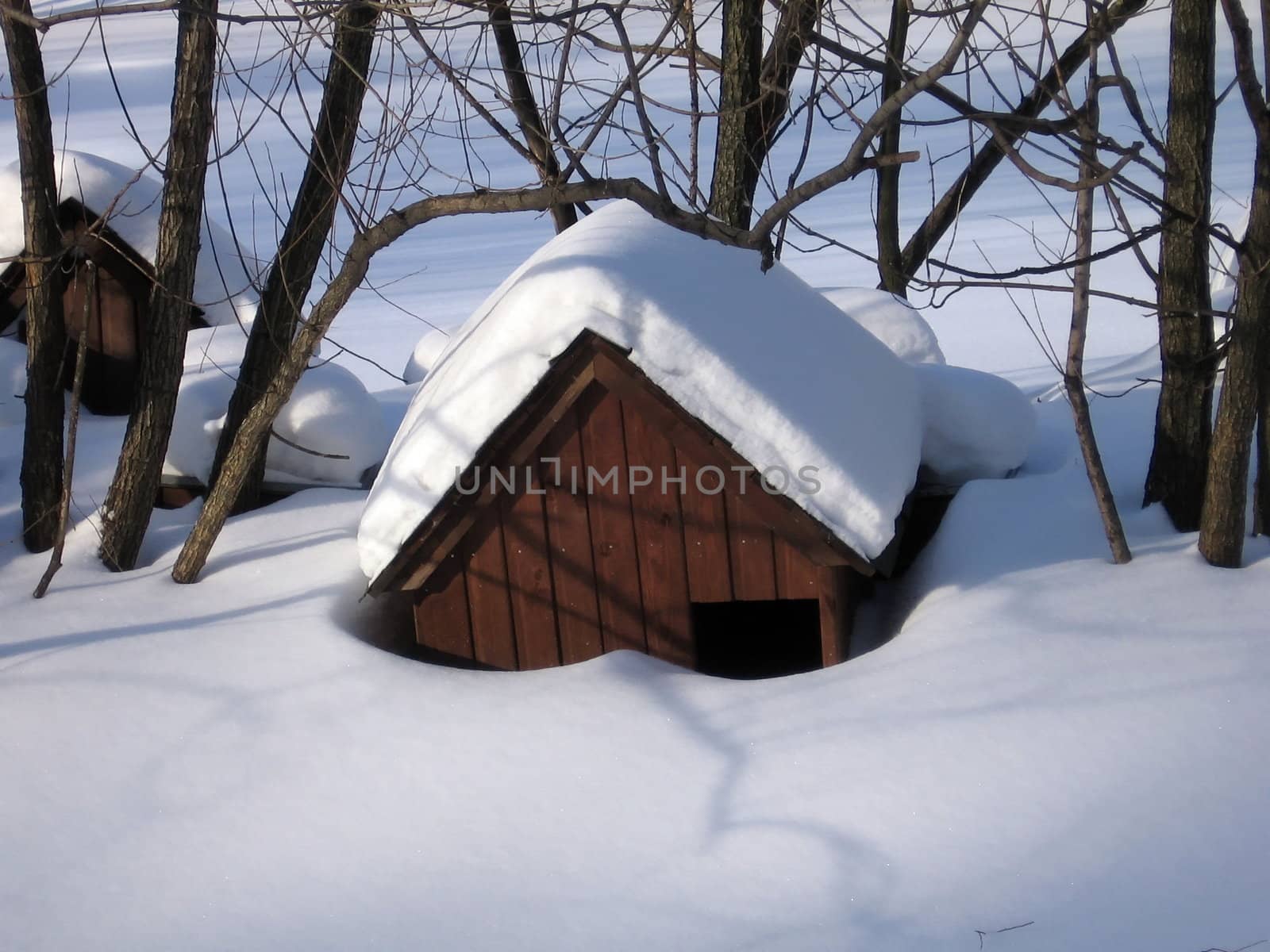 Single duck house on a background of snow