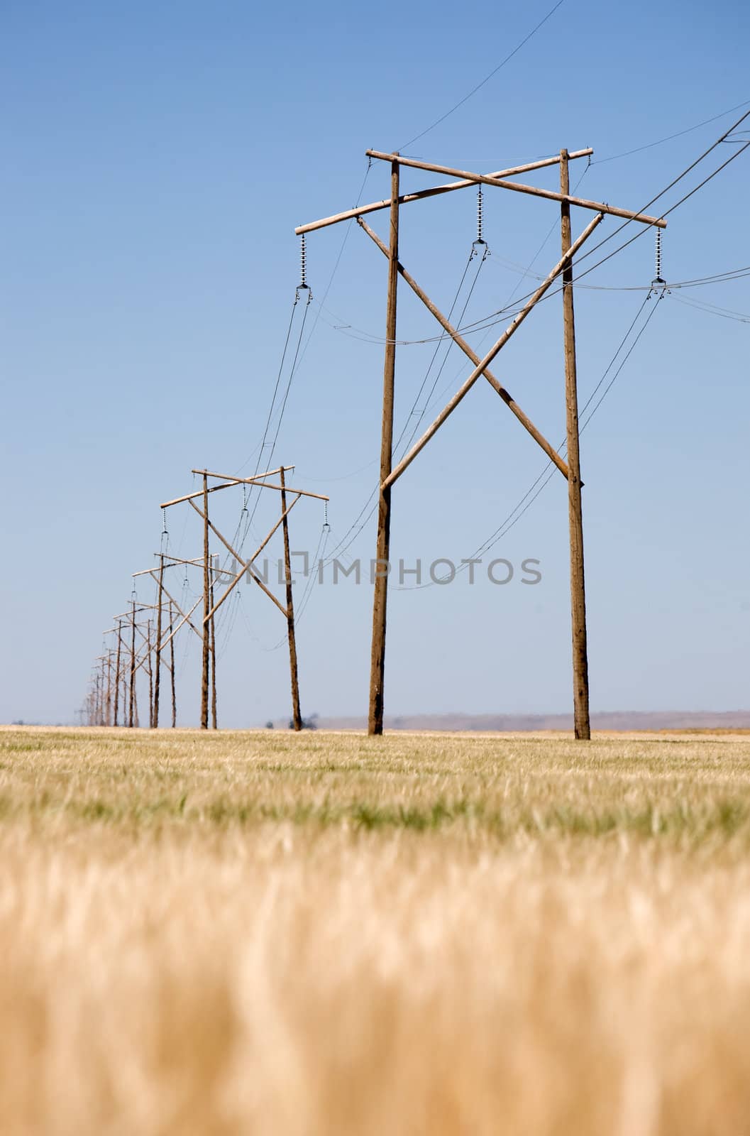 A high capacity prairie power line stretches off into the distance.