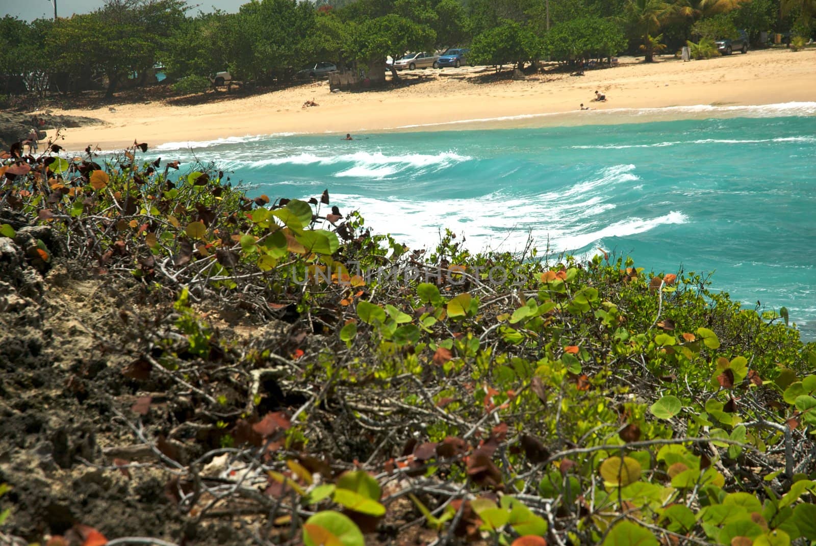 Mar Chiquita Cove & Cueva de las Golondrianas in Puerto Rico