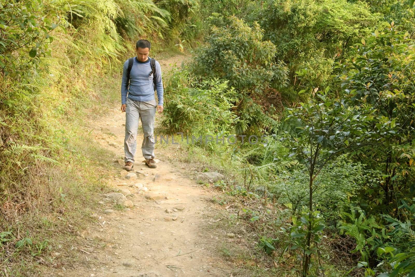 Man walking alone on small rural path in forest of mountain.
