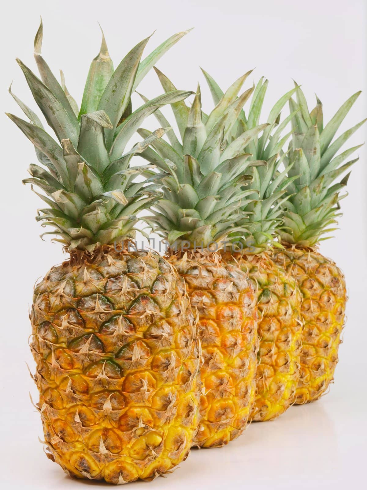 Fresh pineapple by dotweb