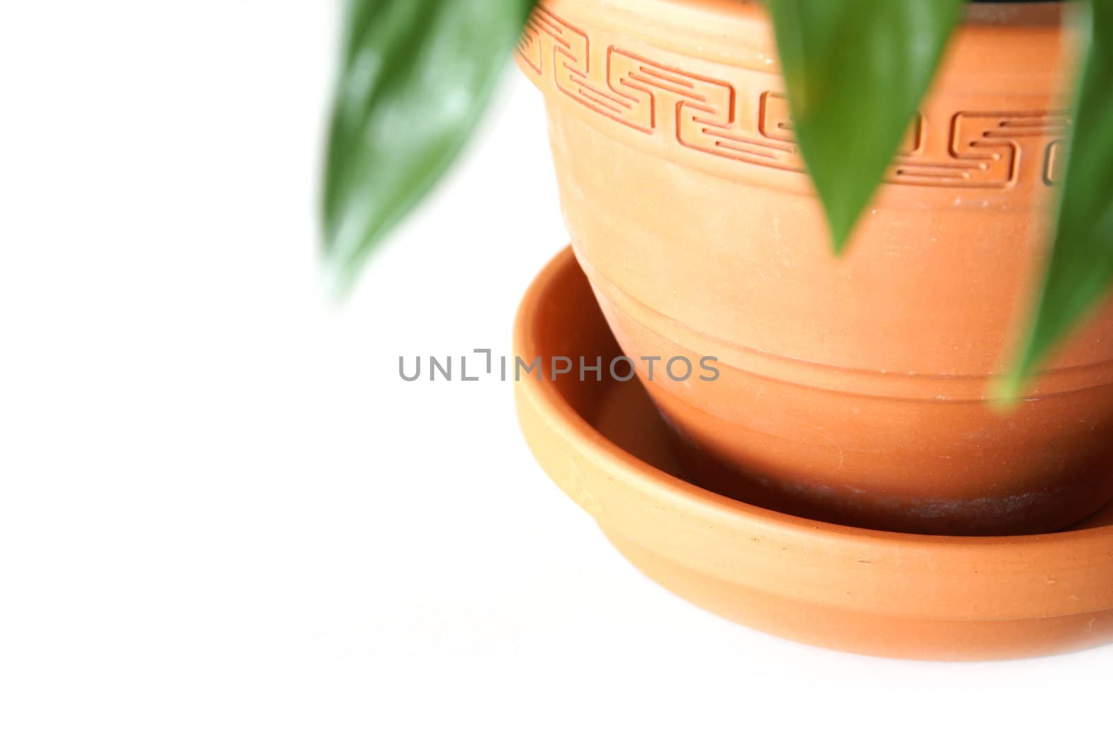 A closeup of a clay pot with the focus on it's details.