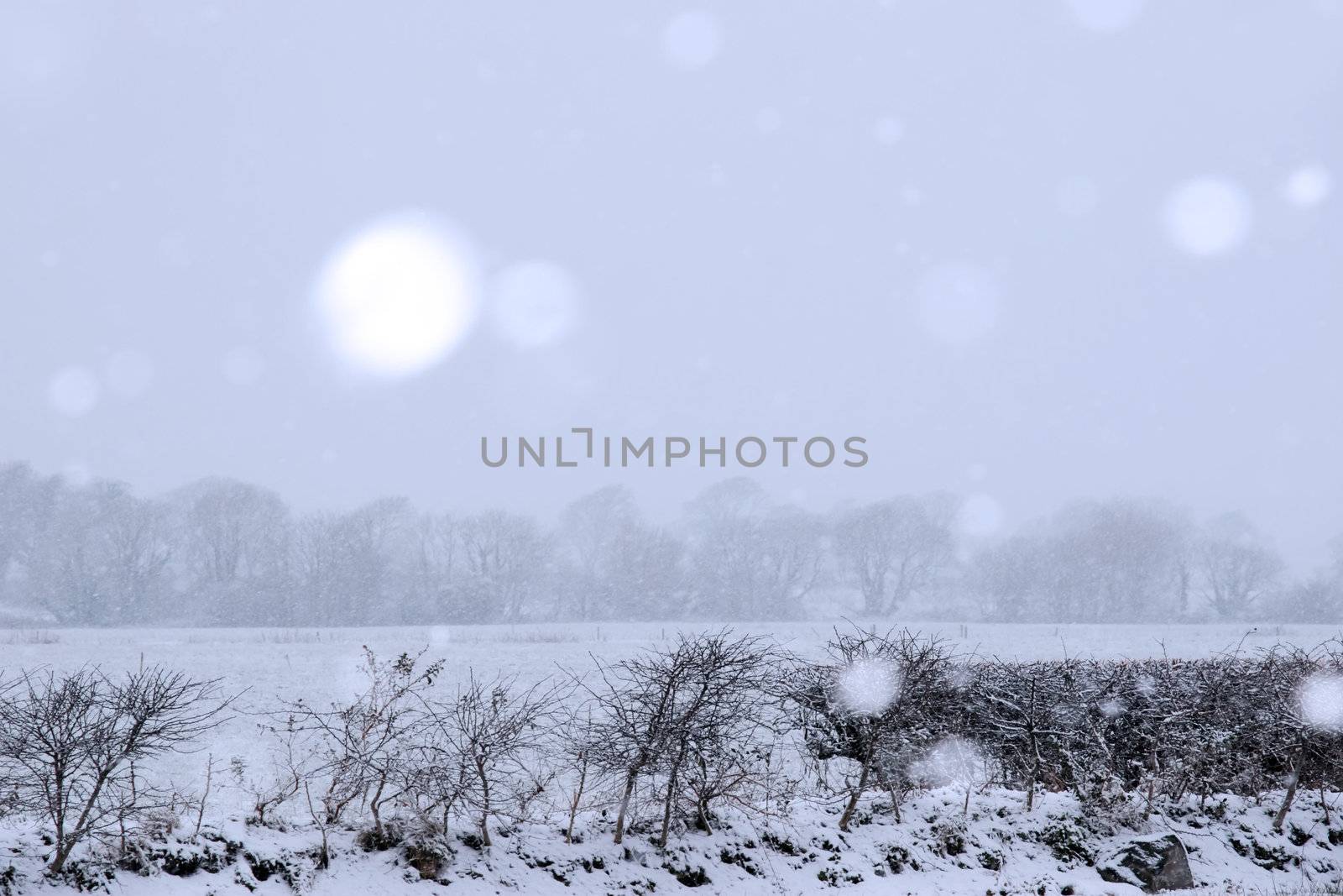 a snowy covered country scene in ballybunion ireland with snow falling