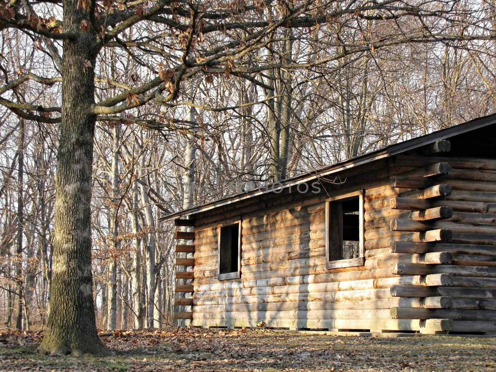 log shelter or cabin in a wooded area in a park on a sunny winter day