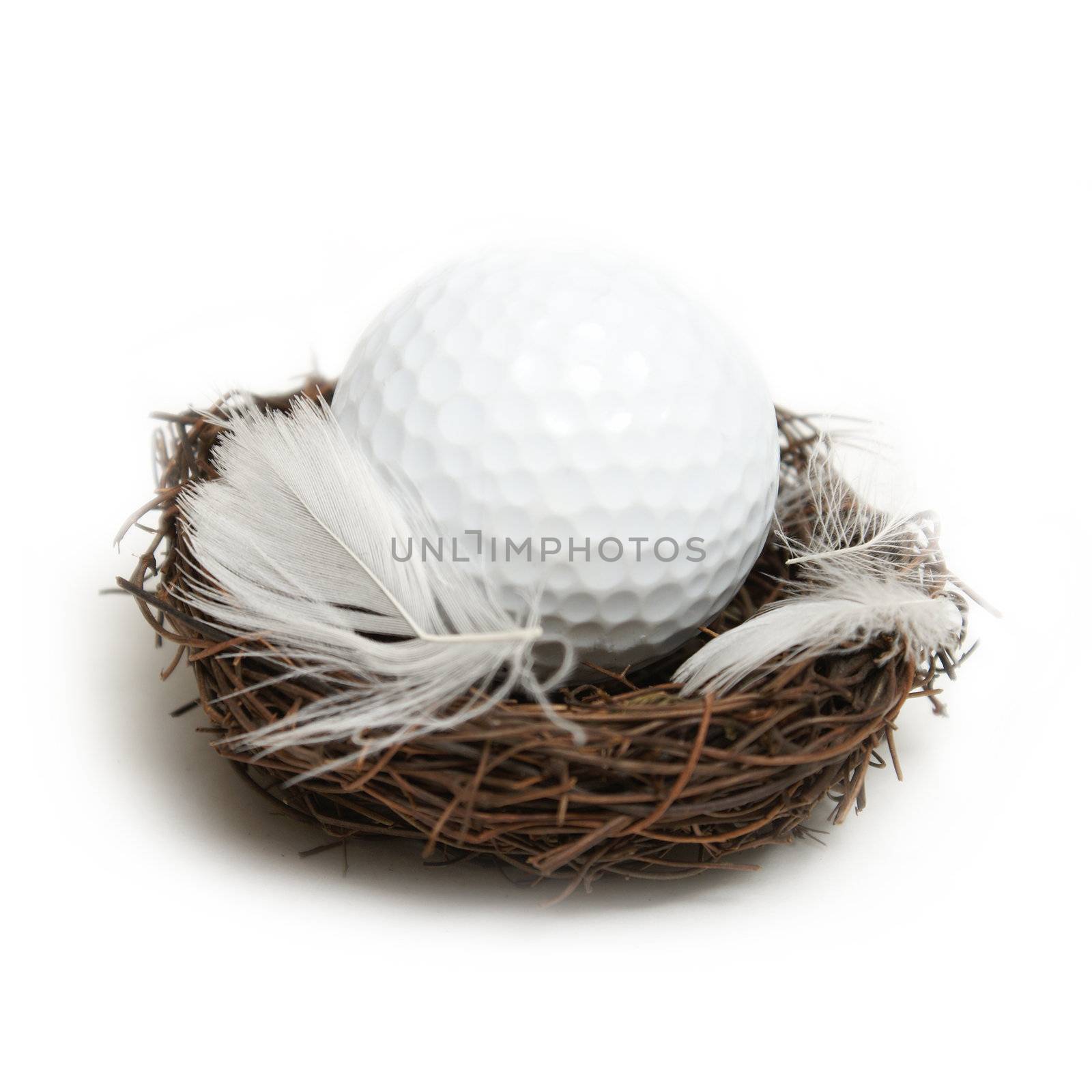 A conceptual golf ball inside a nest to give the idea of the future of golf.
