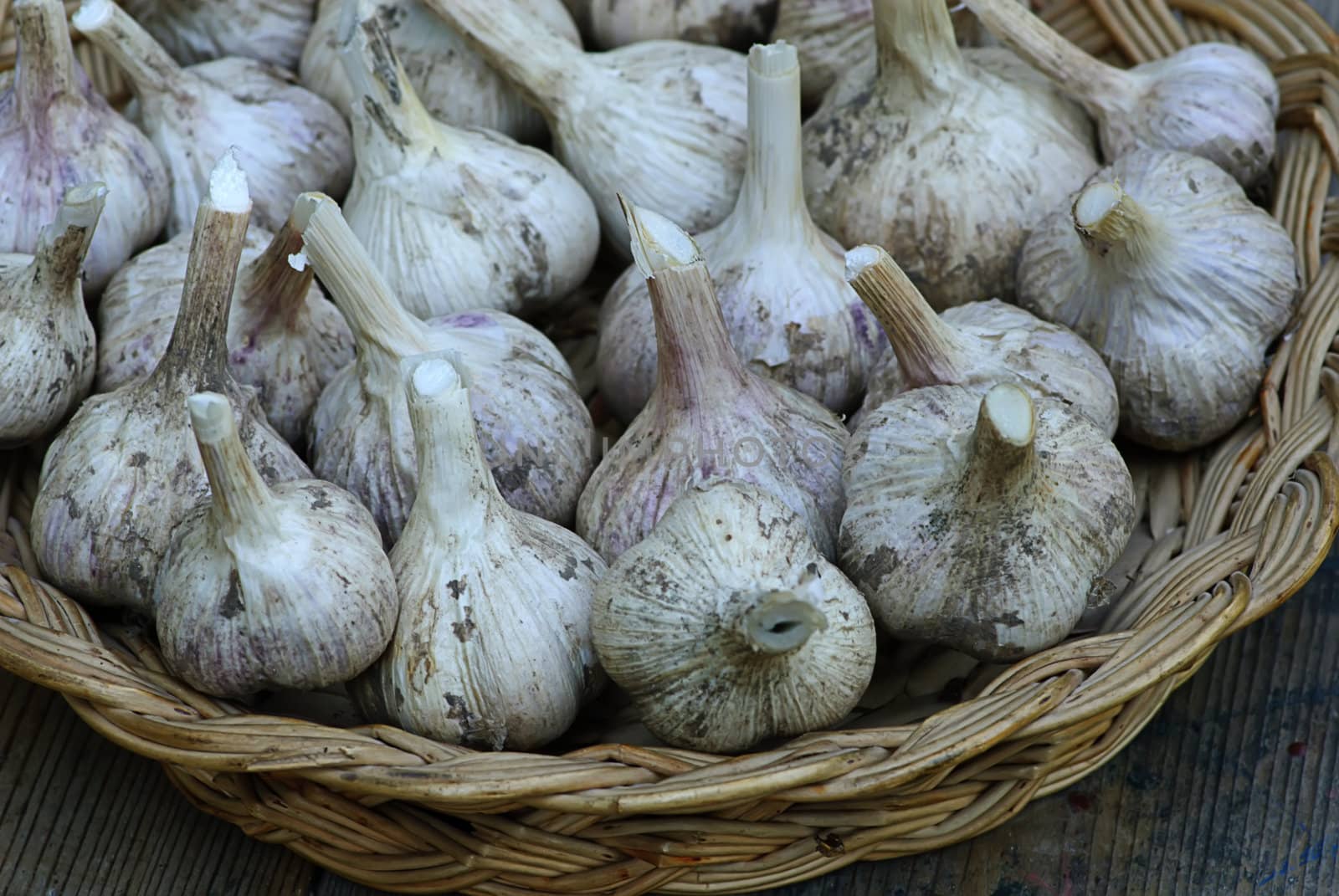 fresh garlic in wooden basket hand made