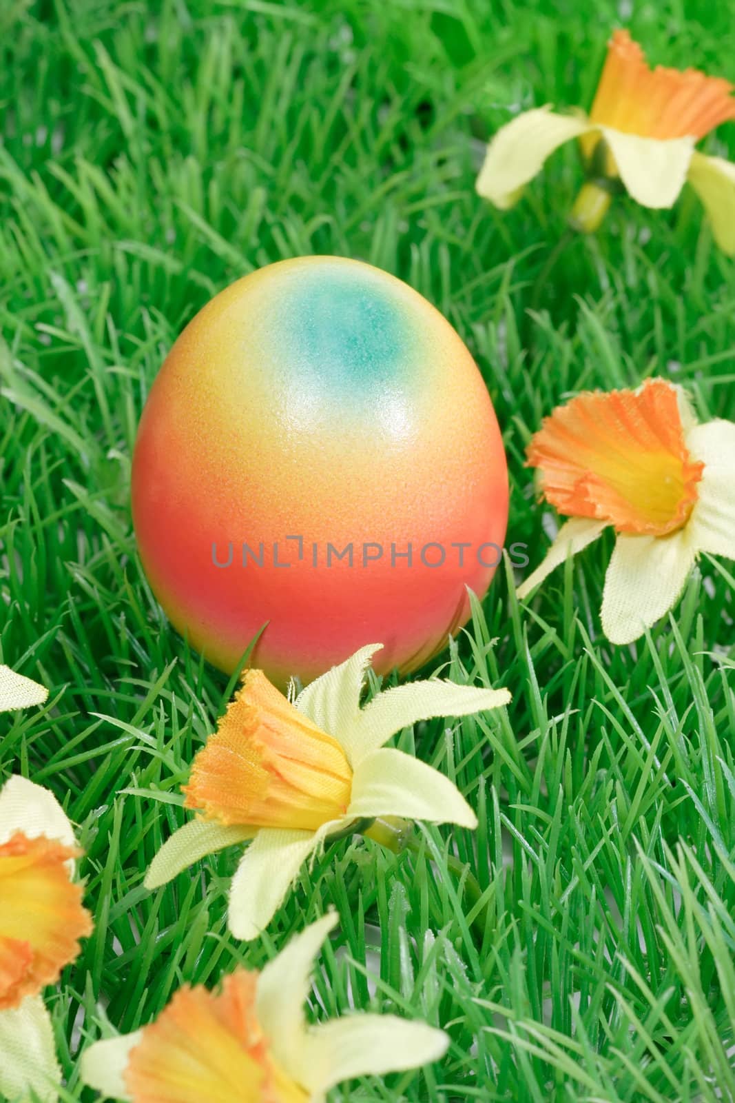 Colorful easter egg by Teamarbeit