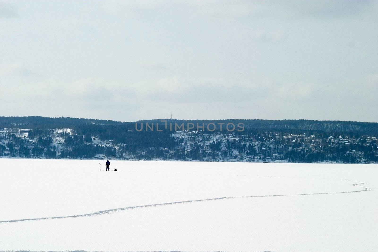 Ice Fishing by leaf