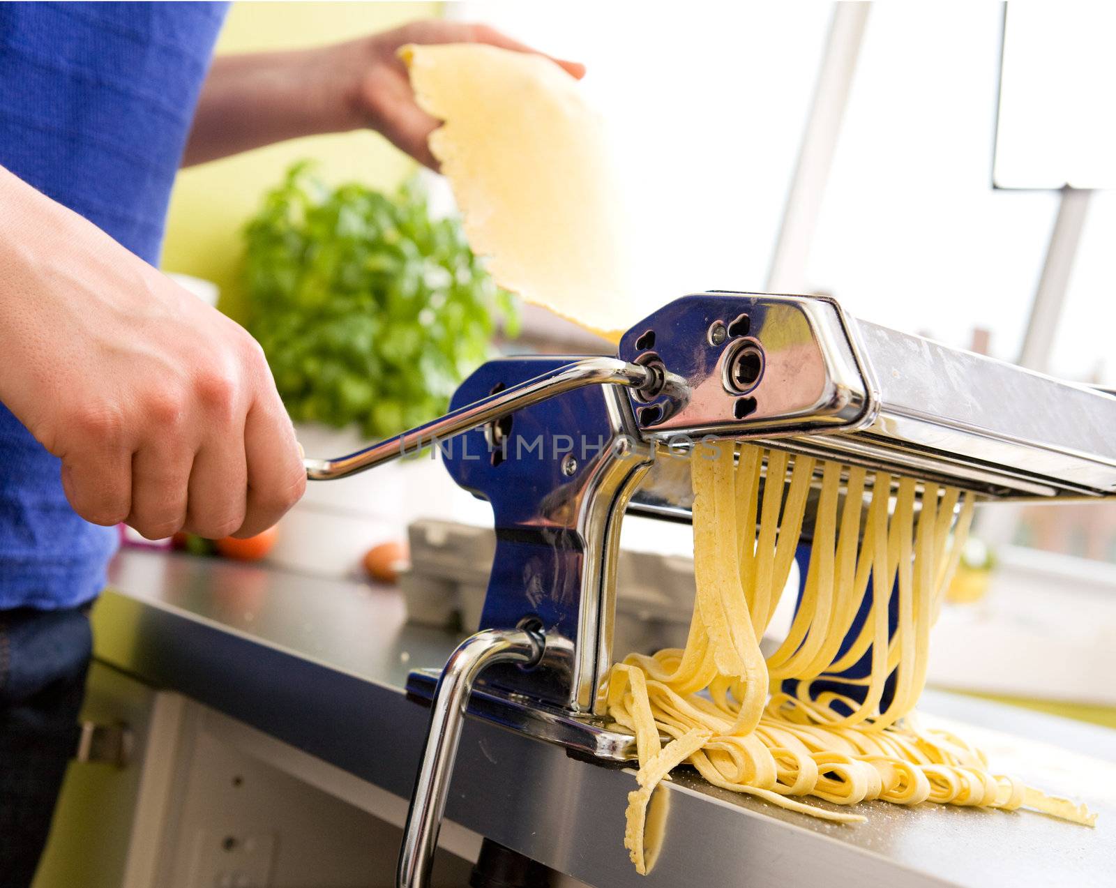 Homemade Pasta Fettuccine Detail by leaf