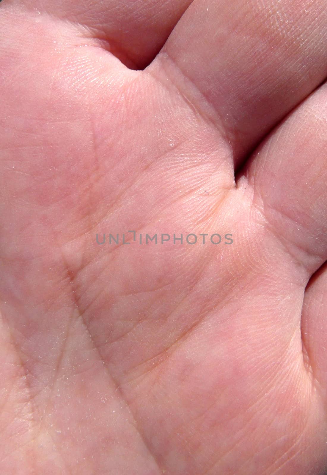 A close up of the skin of a human hand.