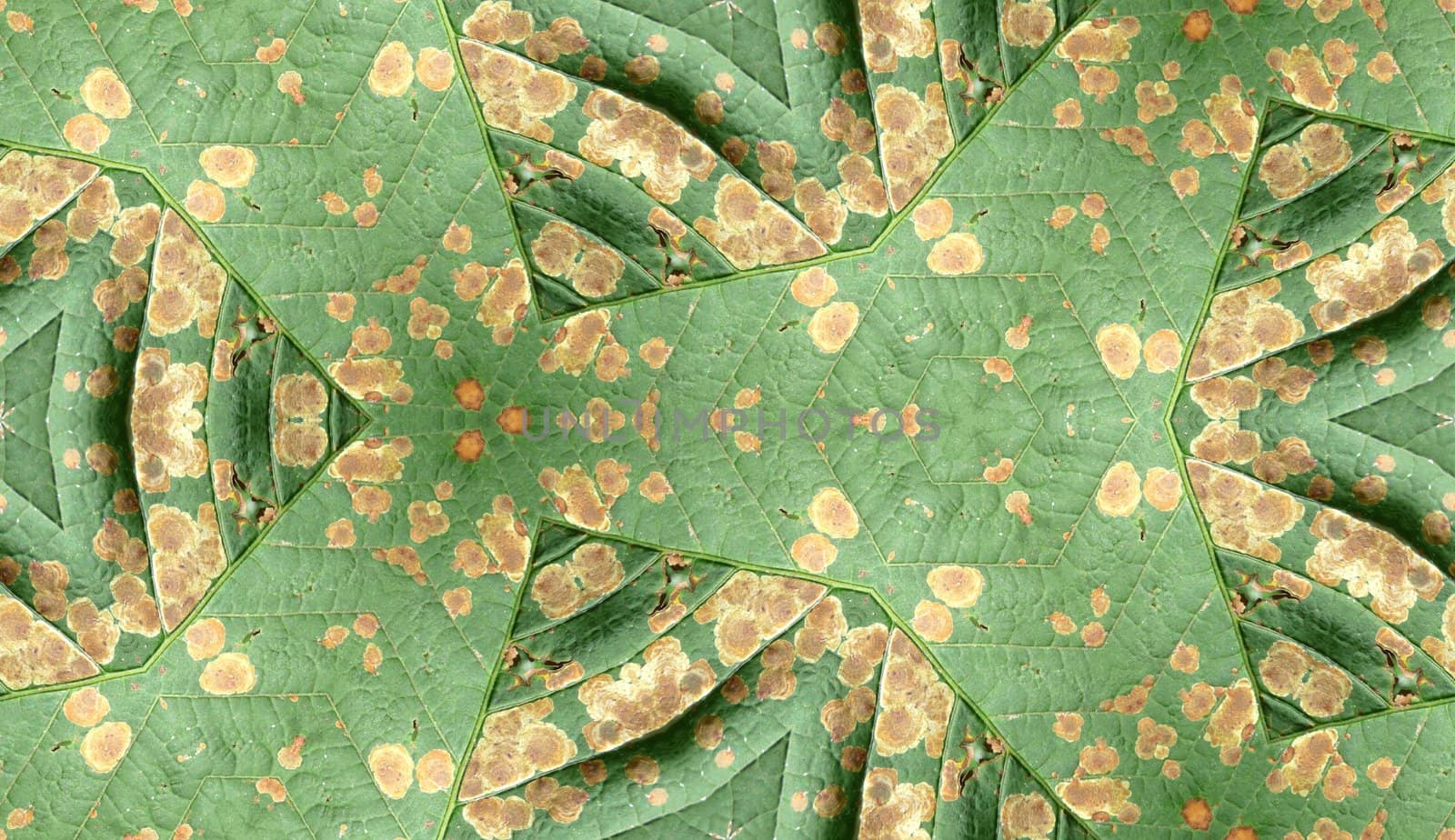 A seamless texture pattern background of an infected leaf.