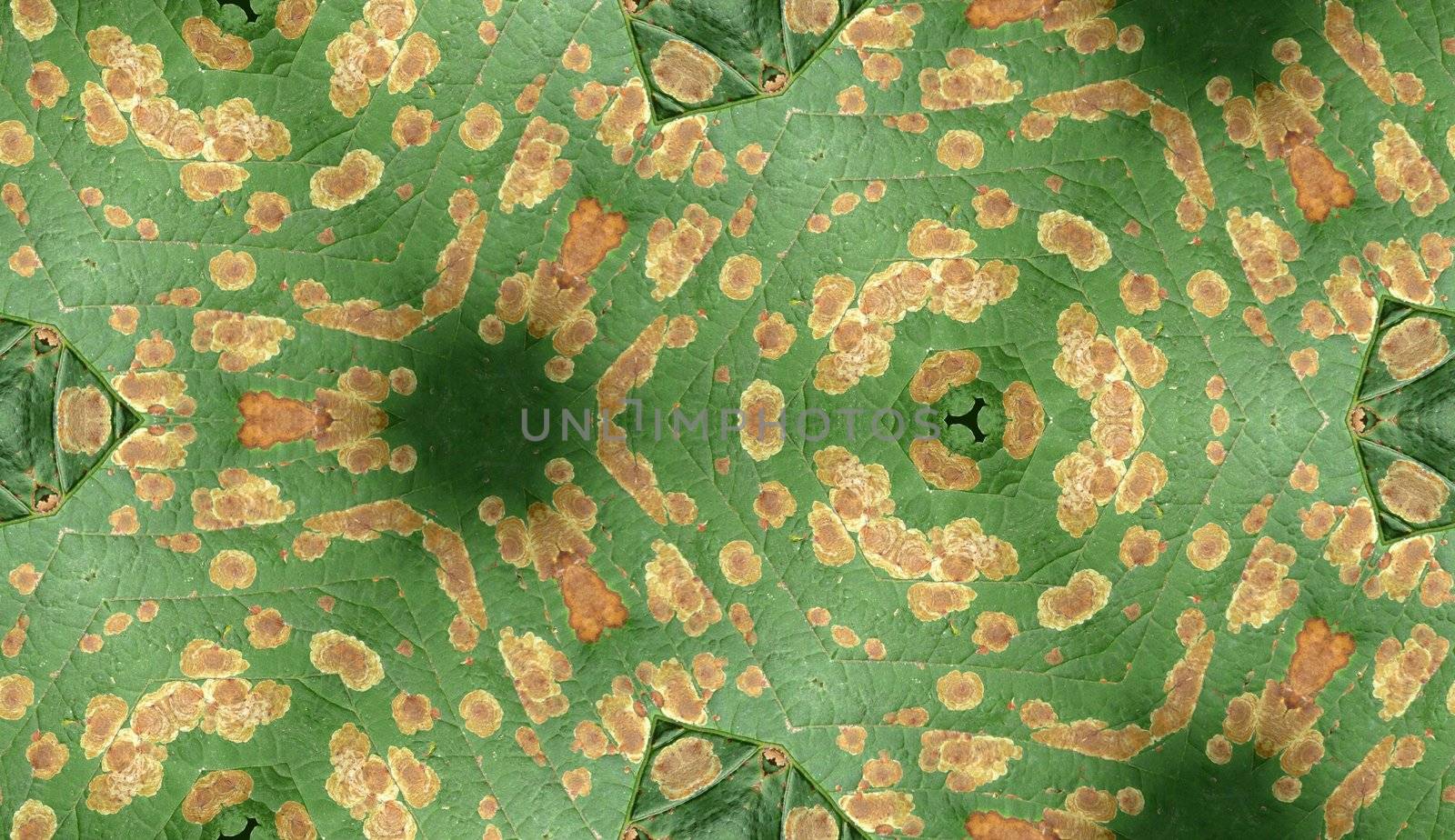 A seamless texture pattern background of an infected leaf.