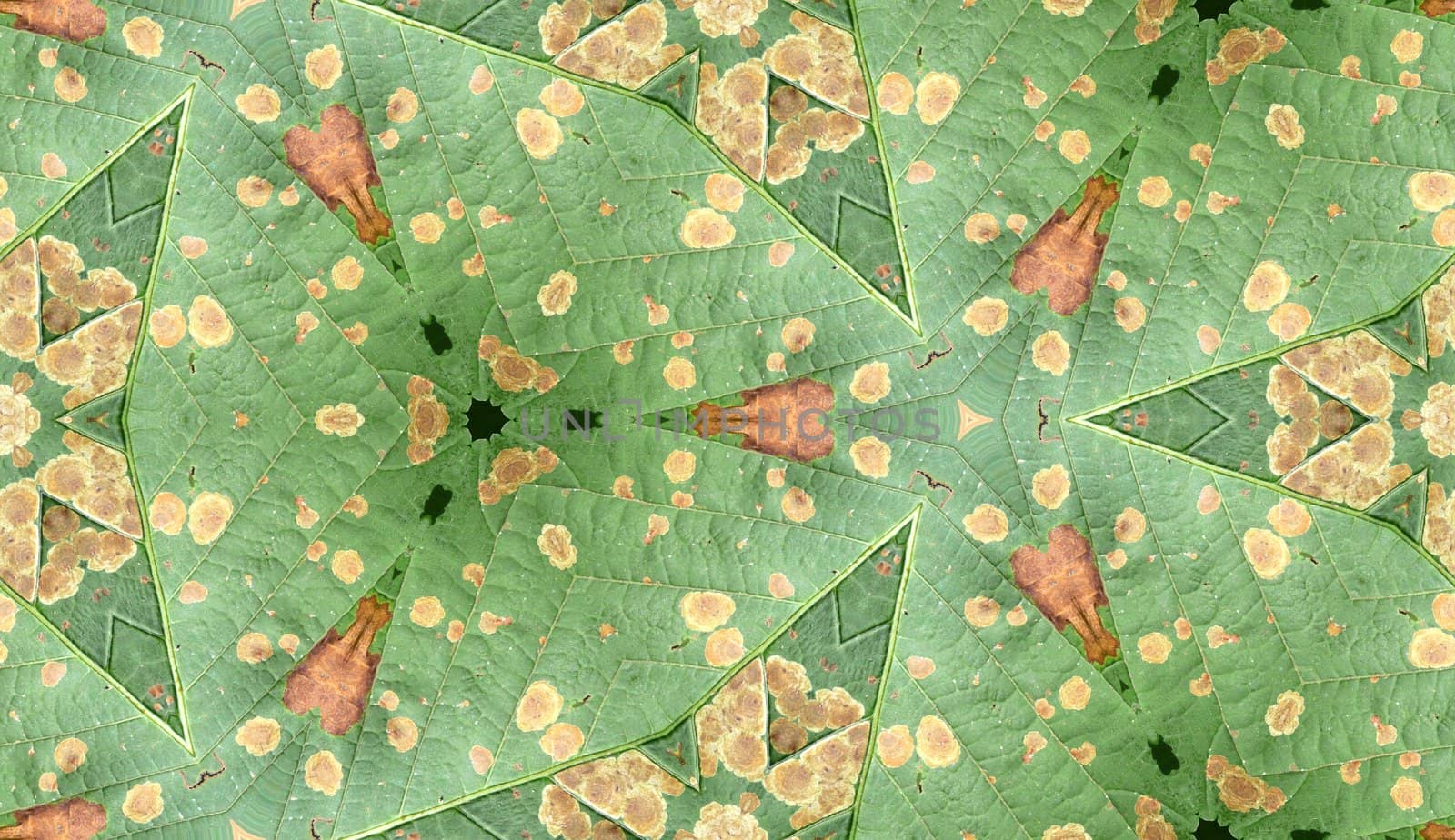 A seamless texture pattern background of an infected leaf.