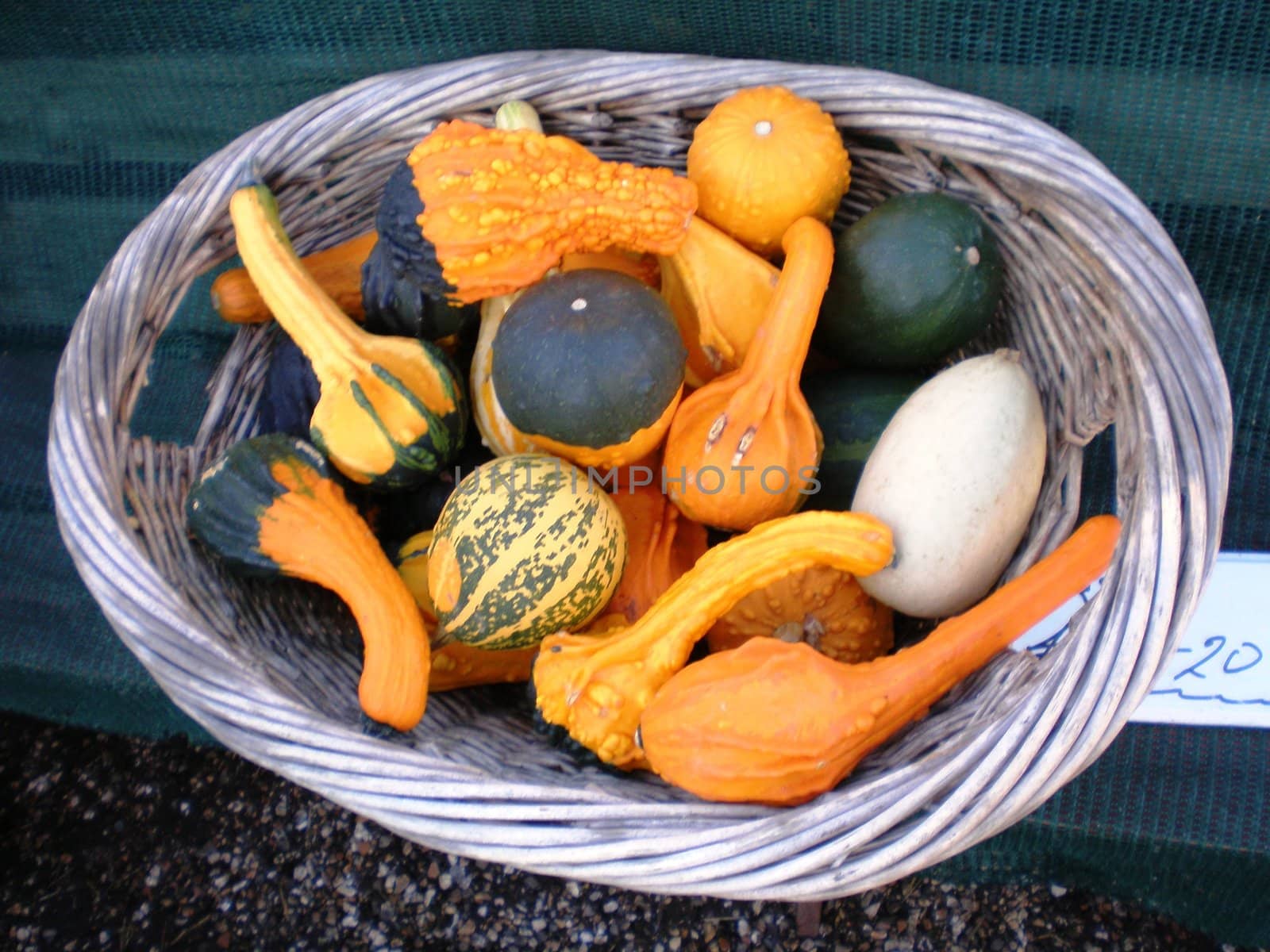 Small Pumpkins by islav