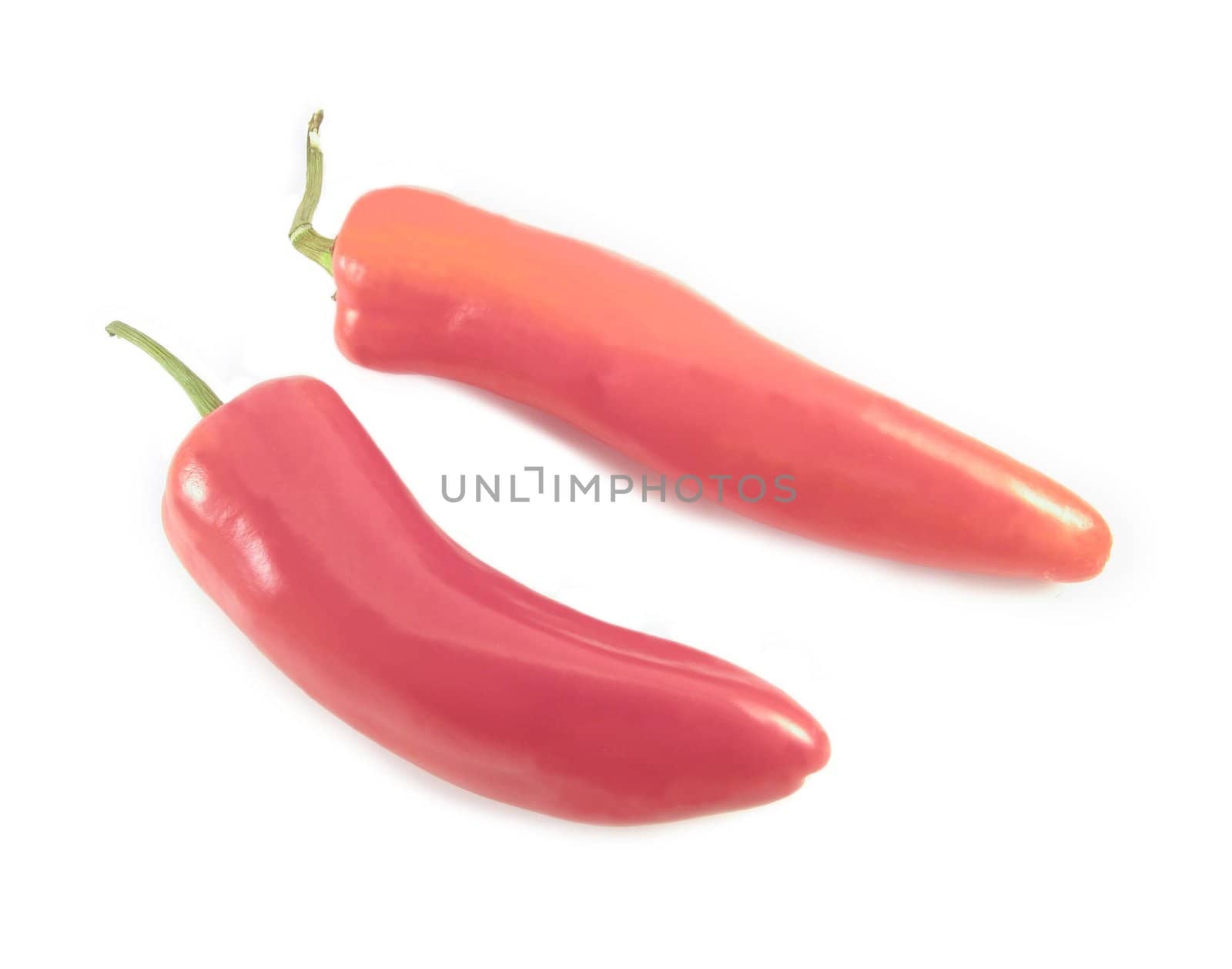 image of two red hot peppers on a white background