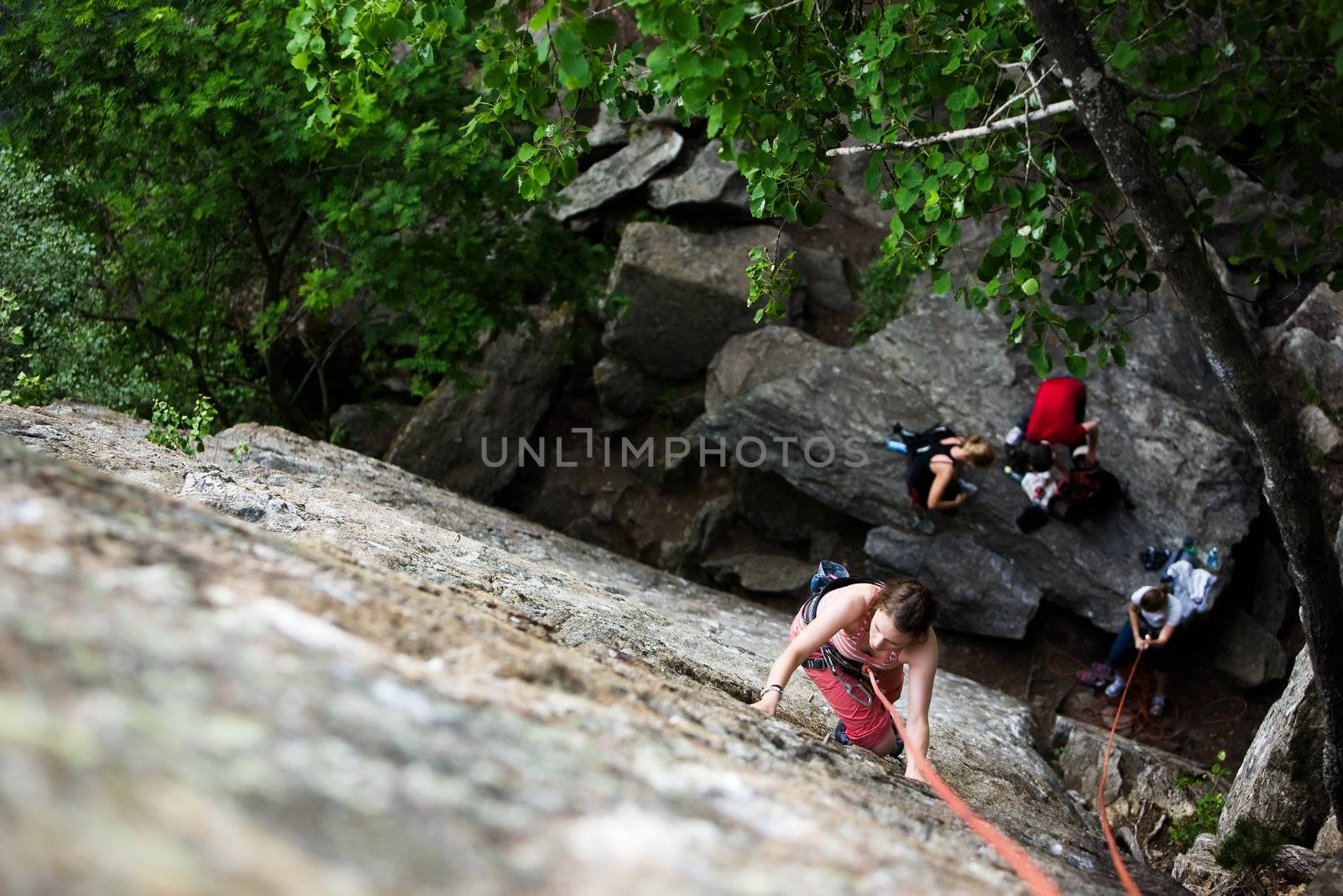 Female Climber by leaf