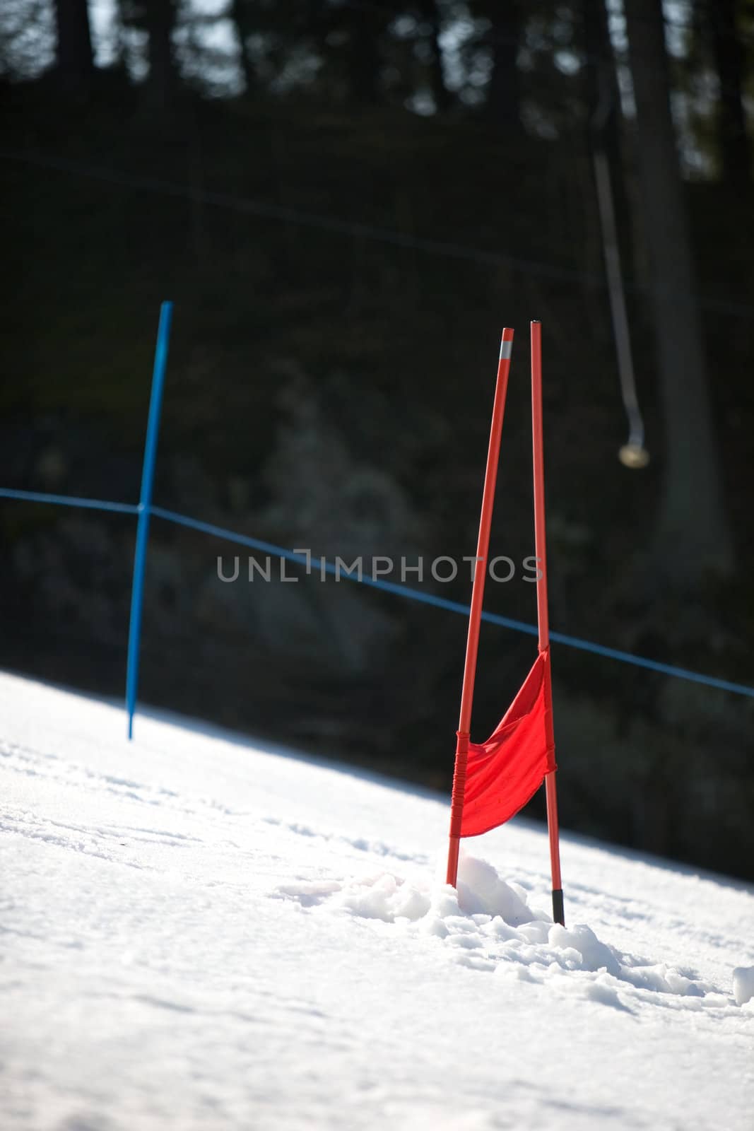 A racing post for downhill skiing.