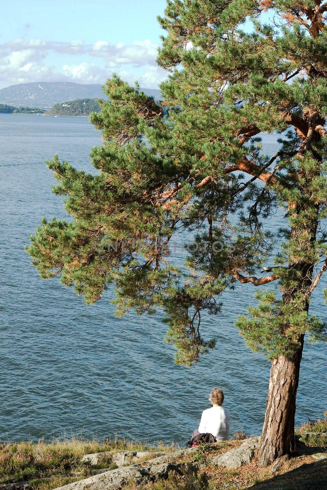 An eldery woman sitting on the rocks by the ocean under a tree.